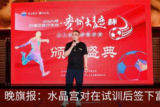 晚旗报：水晶宫对在试训后签下富安健洋持开放态度