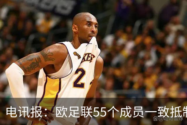 电讯报：欧足联55个成员一致抵制世界杯私有计划，30多个成员发言