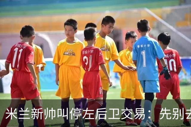 米兰新帅叫停左后卫交易：先别去维拉，7月我要亲自验货