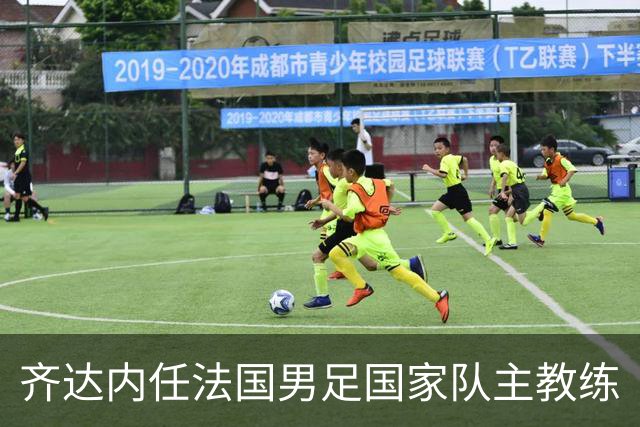 齐达内任法国男足国家队主教练